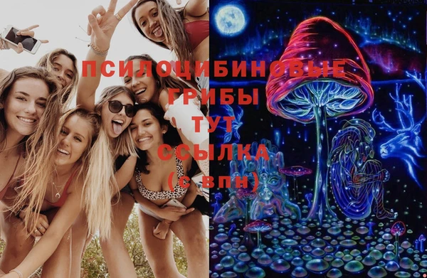 амфетамин Алексеевка