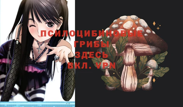 прущая мука Снежногорск
