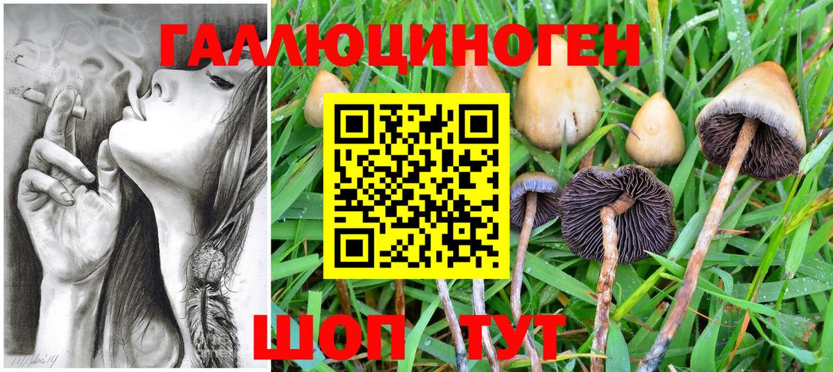 Железноводск  Галлюциногенные грибы ЛСД  Псилоцибиновые грибы ЛСД  Вход с VPN 